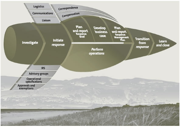 Figure 11 - Main phases of the biosecurity response system. 