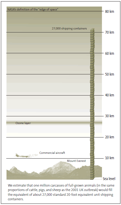 Figure 6 - Potential diffi culties in disposing of slaughtered animals during a foot and mouth disease outbreak. 