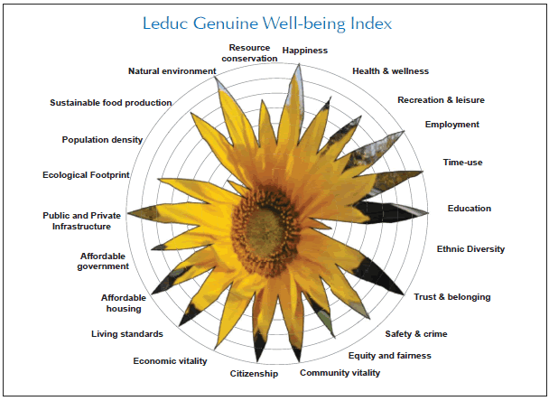 Figure 3 Example of a "radar diagram" for key indicators. 