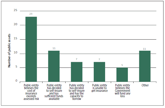 Reasons why some central government assets have no insurance cover. 