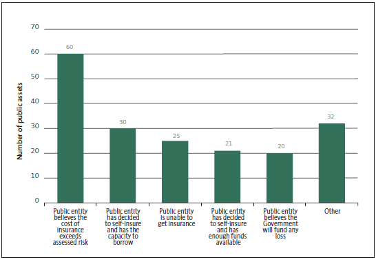 Figure 20 Reasons why some local government assets have no insurance cover. 