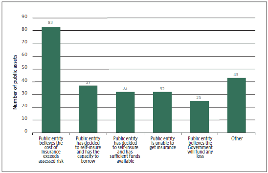 Figure 8 Reasons why some public assets have no insurance cover. 