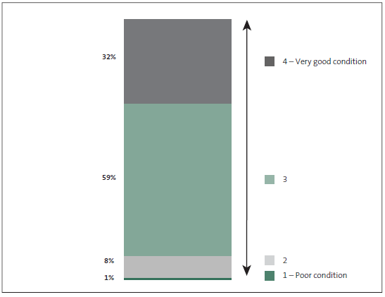 Figure 4 Condition of public assets. 