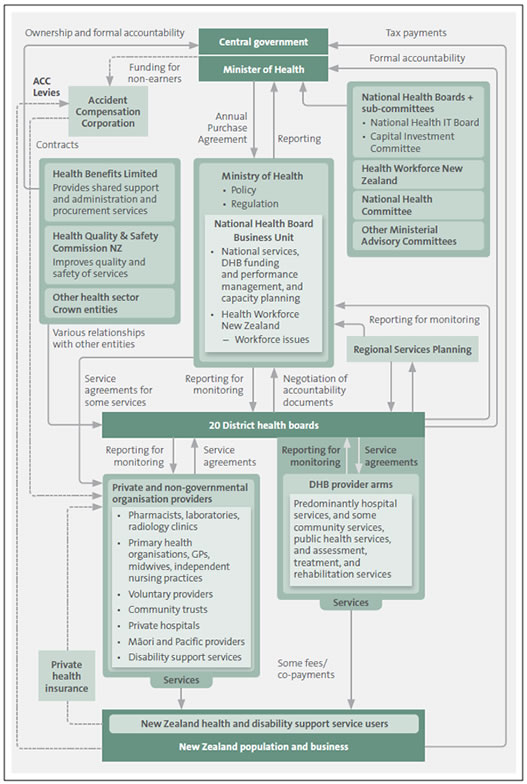 Structure of the health sector. 