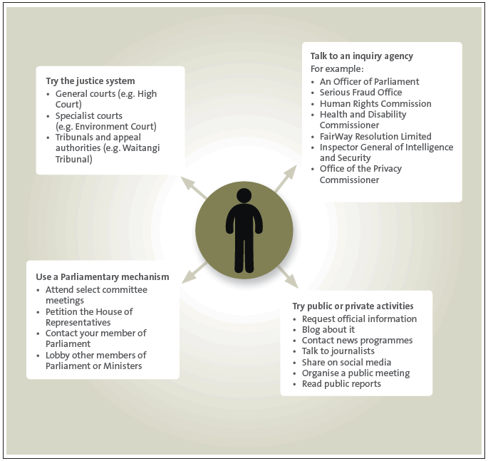 Figure 1 Options for people who want to make a complaint or raise a concern about a public entity. 