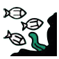 Marine environment