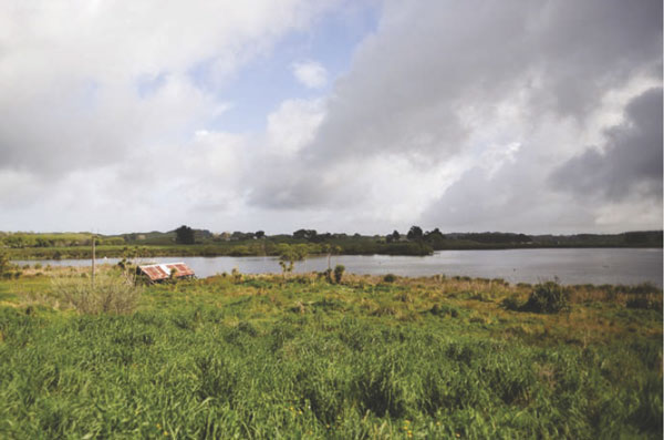 Photo of Lake Horowhenua. 