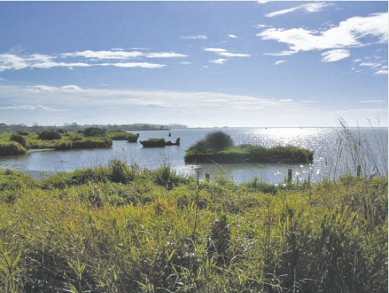 Photo of Wainono Lagoon. 