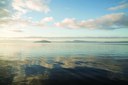 Figure 1 - Alum-dosing in Lake Rotorua