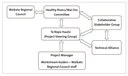 Figure 6 - The Healthy Rivers: Plan for Change / Wai Ora: He Rautaki Whakapaipai project structure