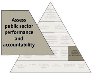 Assess public sector performance and accountability