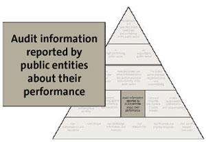 Audit information reported by public entities about their performance