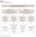 Figure 3 - Types of modified opinions