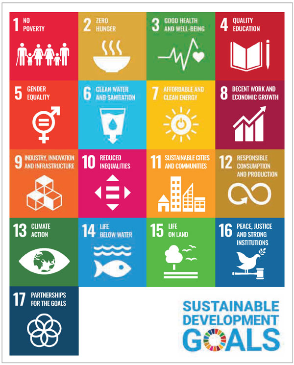 Figure 1 - The United Nations sustainable development goals. 