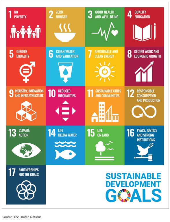 Figure 1 - The United Nations sustainable development goals