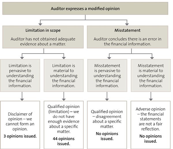 Figure 2: Types of modified opinions