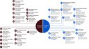 Overview of land transport funding and spending in relevent and meaningful areas