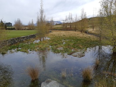 Flooding in Queenstown