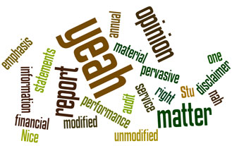 Wordle for the post on the Kiwi guide to audit reports...