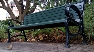 park-bench