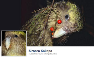 Sirocco on Facebook