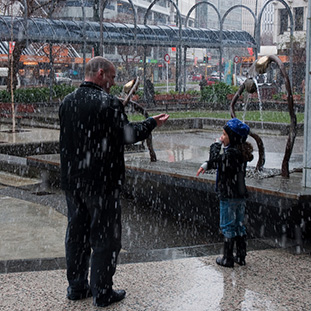 Wellington snow